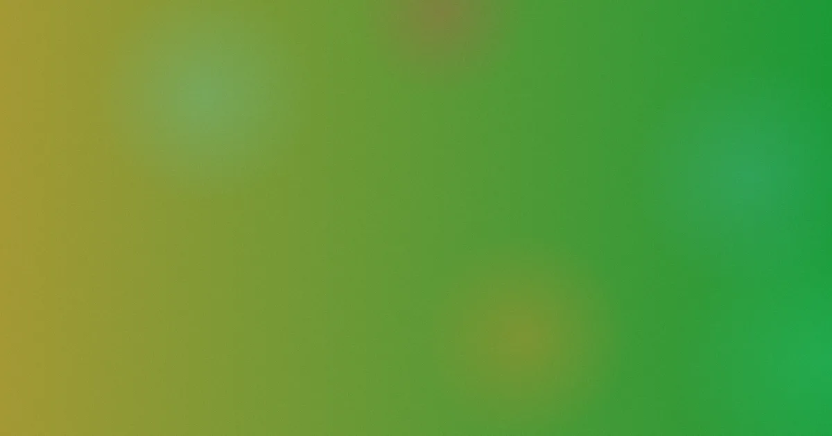 夏日重现避坑深解析